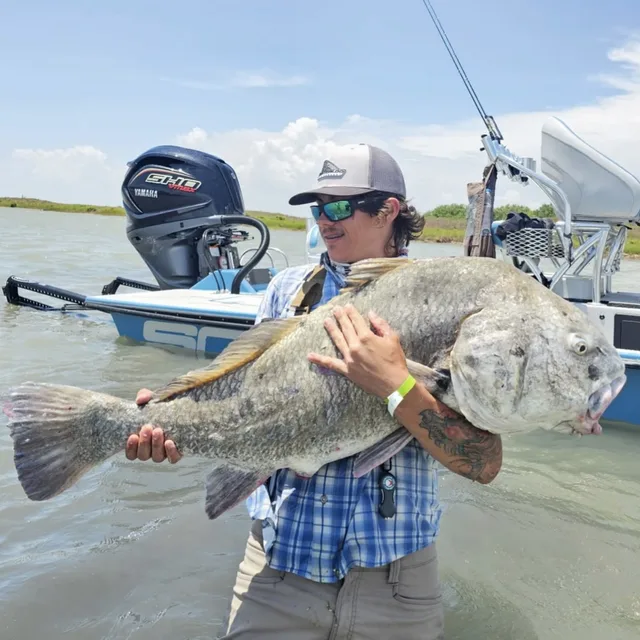 Black Drum