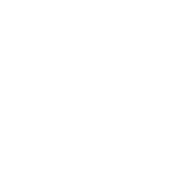 Port Mansfield Real Estate pelican logo